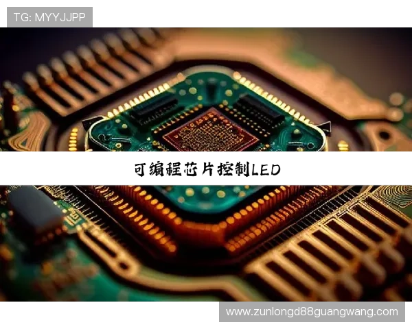 Z6尊龙真人国际：先进的技术保障游戏公平与安全性