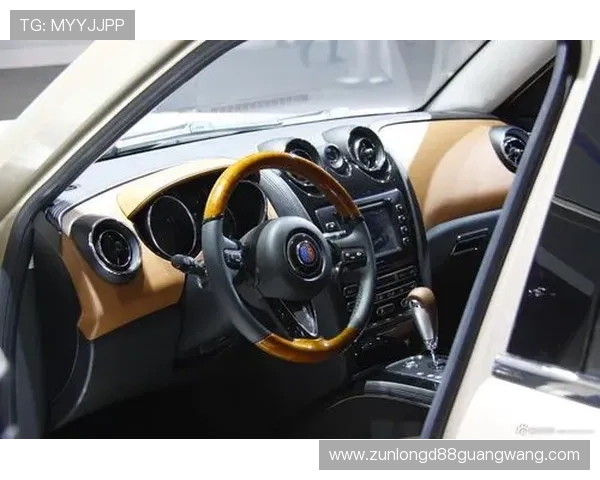 尊龙时凯中国：引领豪华汽车新潮流的卓越品牌发展战略