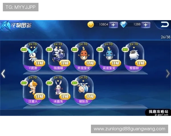 尊龙官网入口帮助新手玩家快速注册登录并掌握游戏基本操作技巧