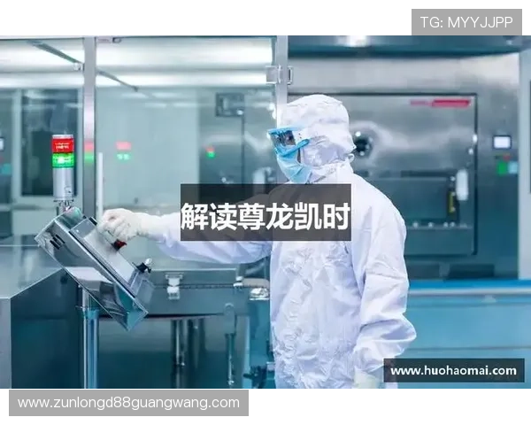 深入了解尊龙凯时平台在线地址的使用技巧和注意事项